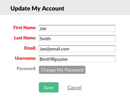screenshot of the account fields